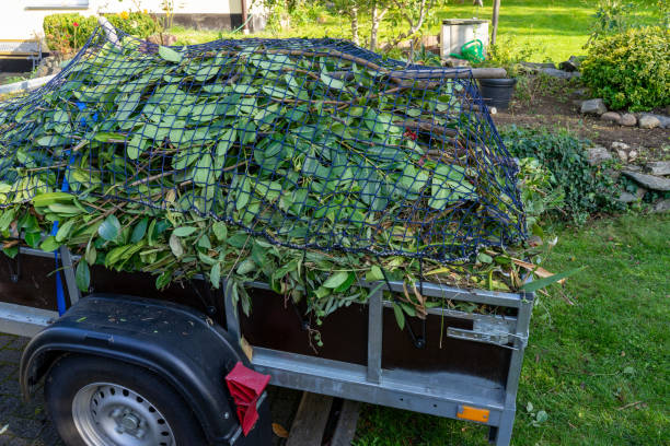 Best Shed Removal  in Fairwood, WA